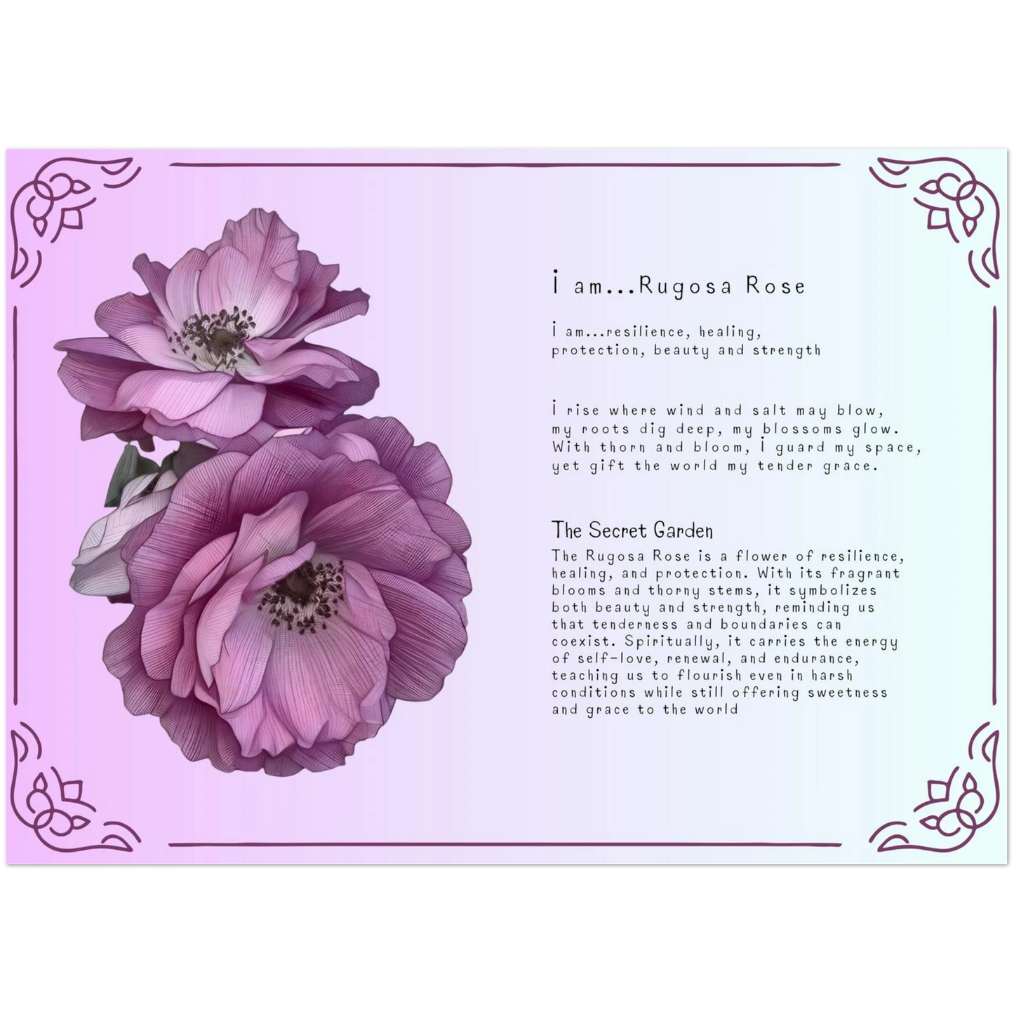 5652cf74-95d2-49fb-b6ec-b0a1cdf7796c