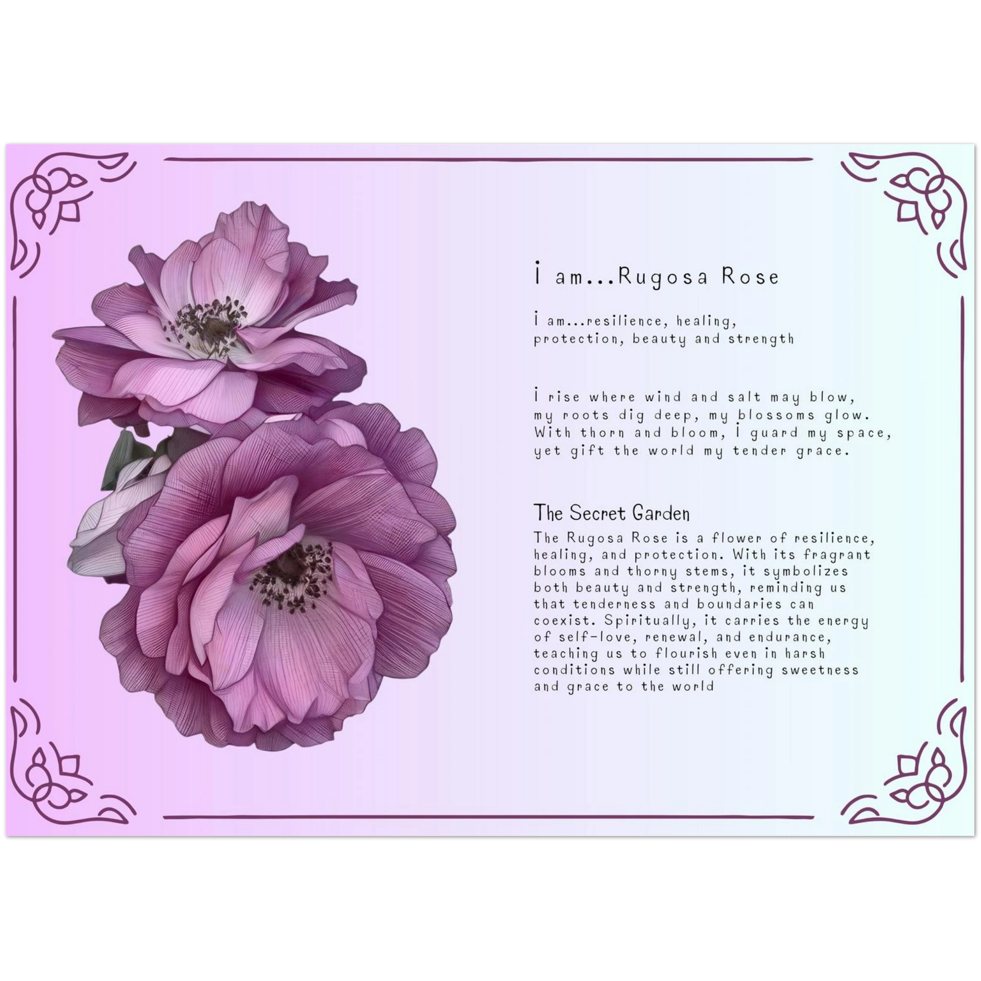 5652cf74-95d2-49fb-b6ec-b0a1cdf7796c