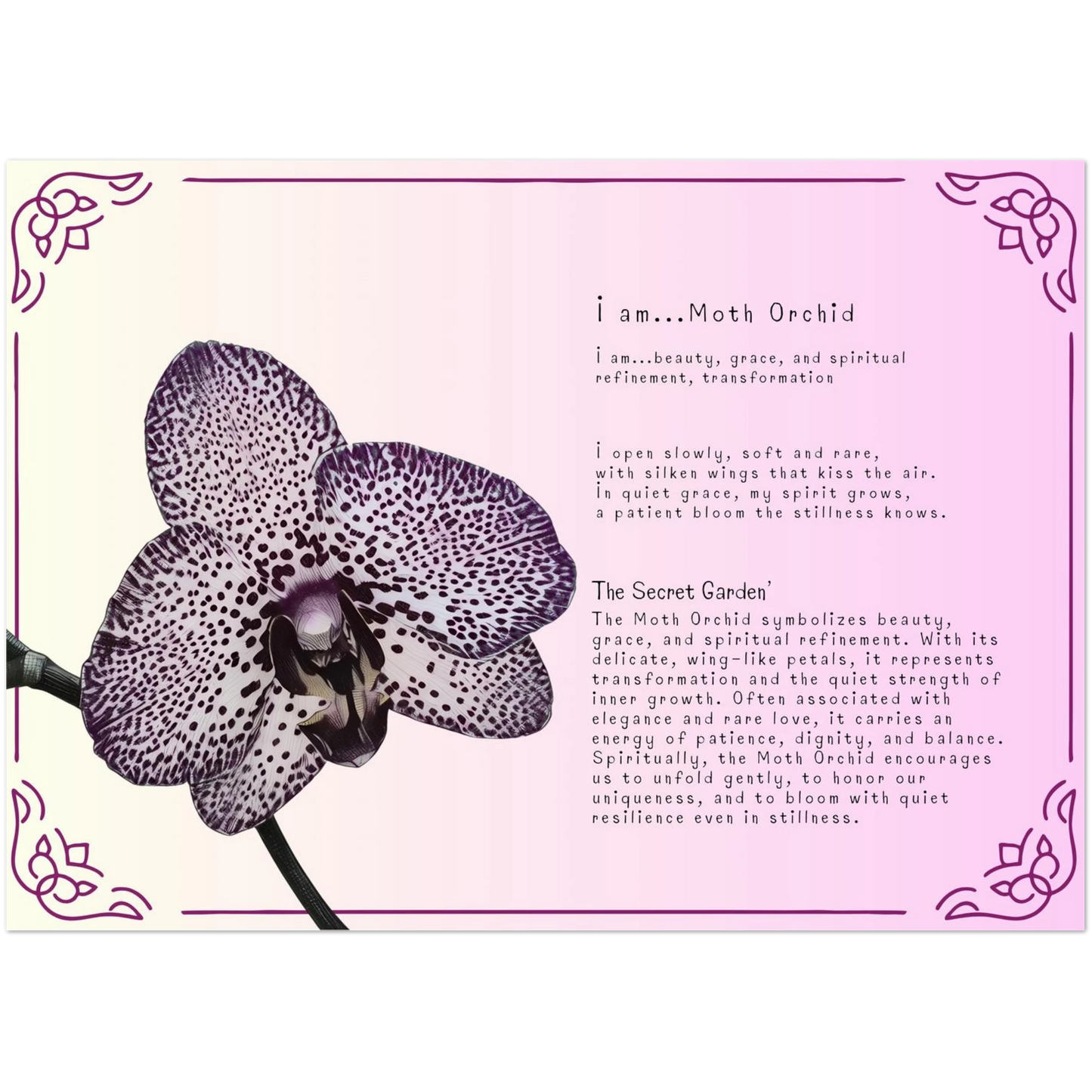 9003c0ae-f114-4303-b789-e18952a8aff7