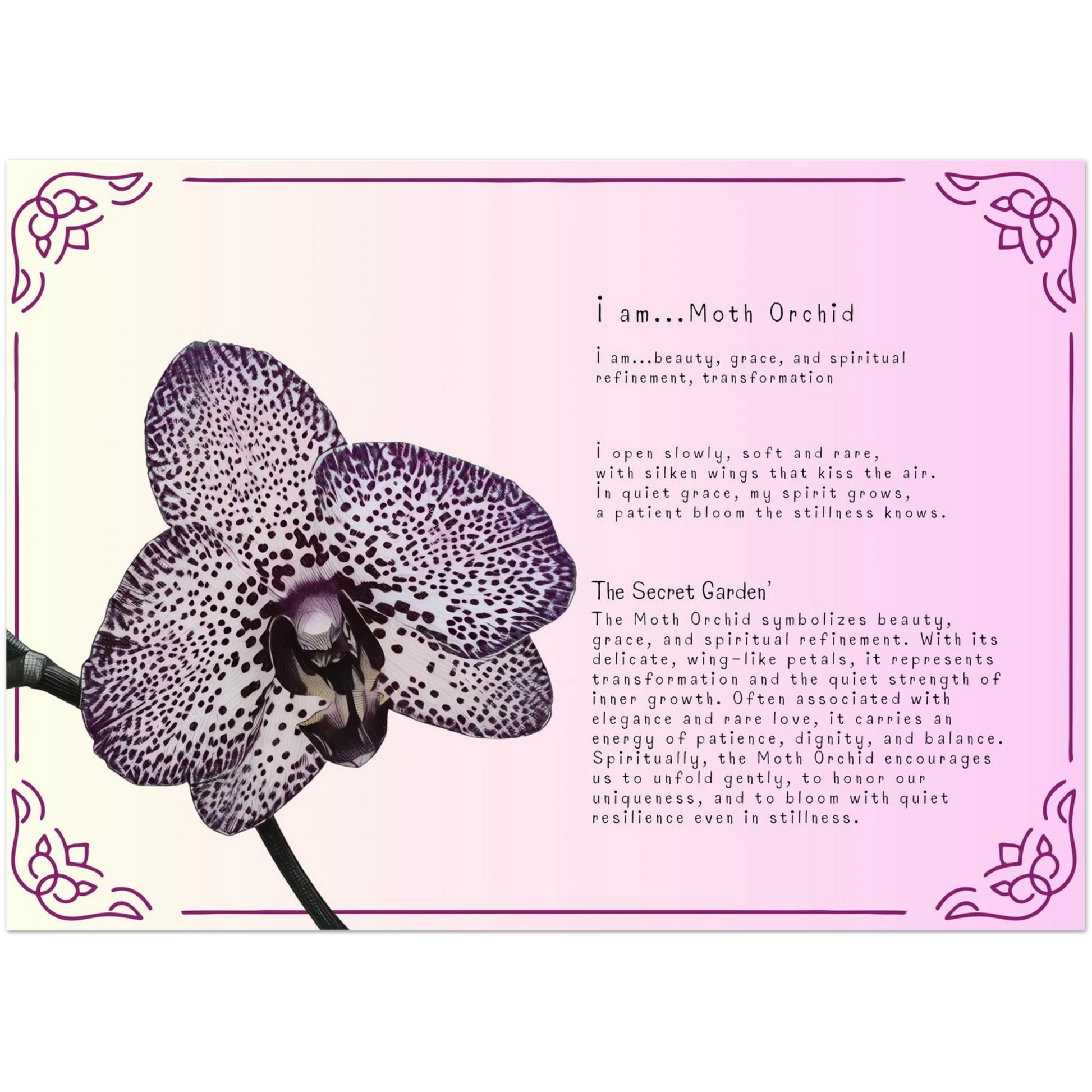 9003c0ae-f114-4303-b789-e18952a8aff7