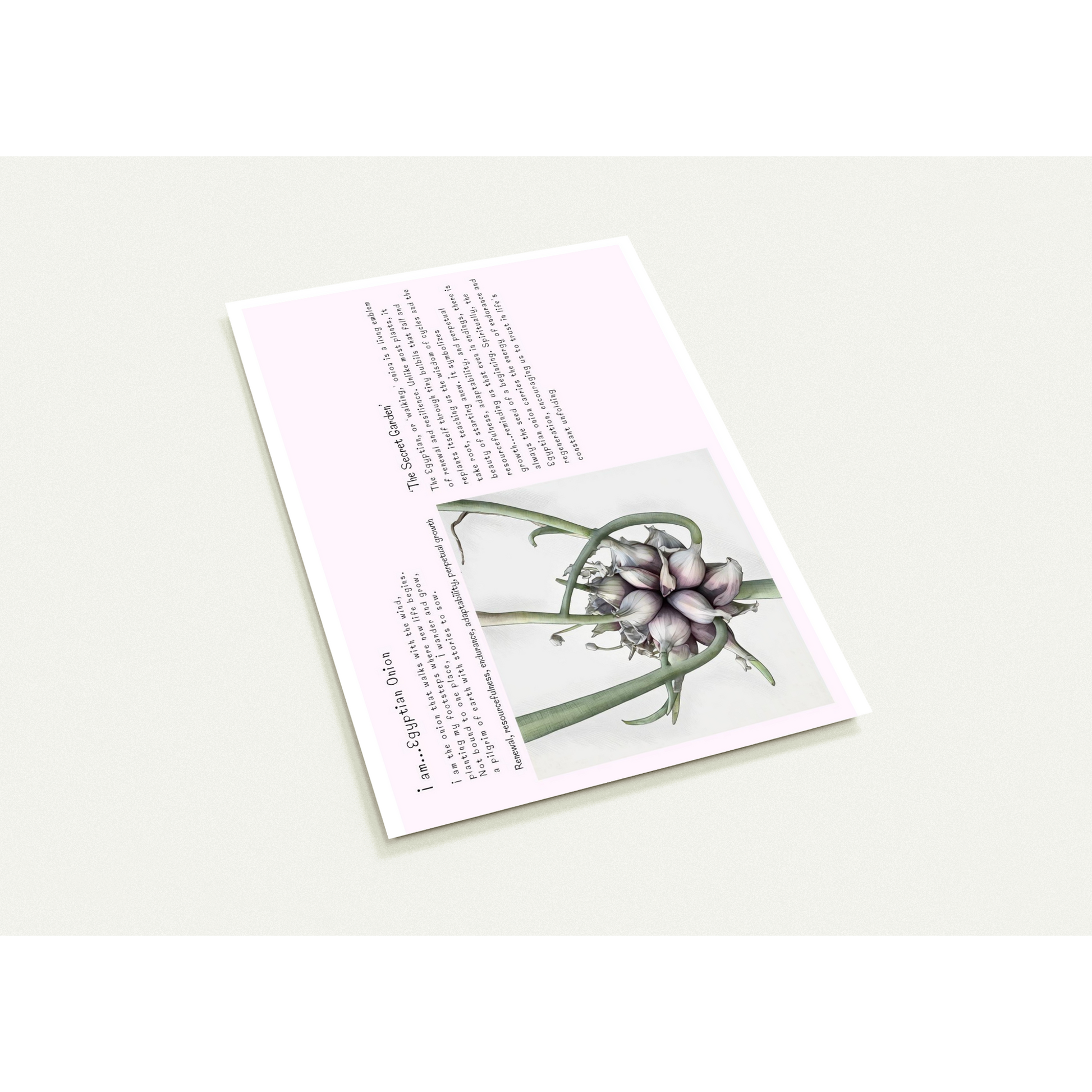 Postcard with onion cluster design and text on a pinky-white background